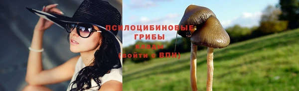 прущие крисы Баксан