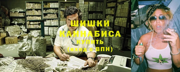 индика Белоозёрский