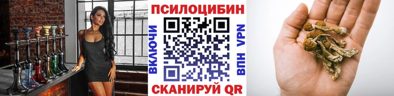 Галлюциногенные грибы Cubensis Кувандык