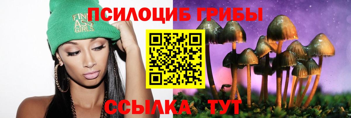Кувандык  Галлюциногенные грибы Psilocybe  Вход с VPN 